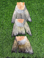 Freeze-Dried Salmon Tails Treat/Chew for Dogs - Bulk: 1 Salmon Tail - Unwrapped