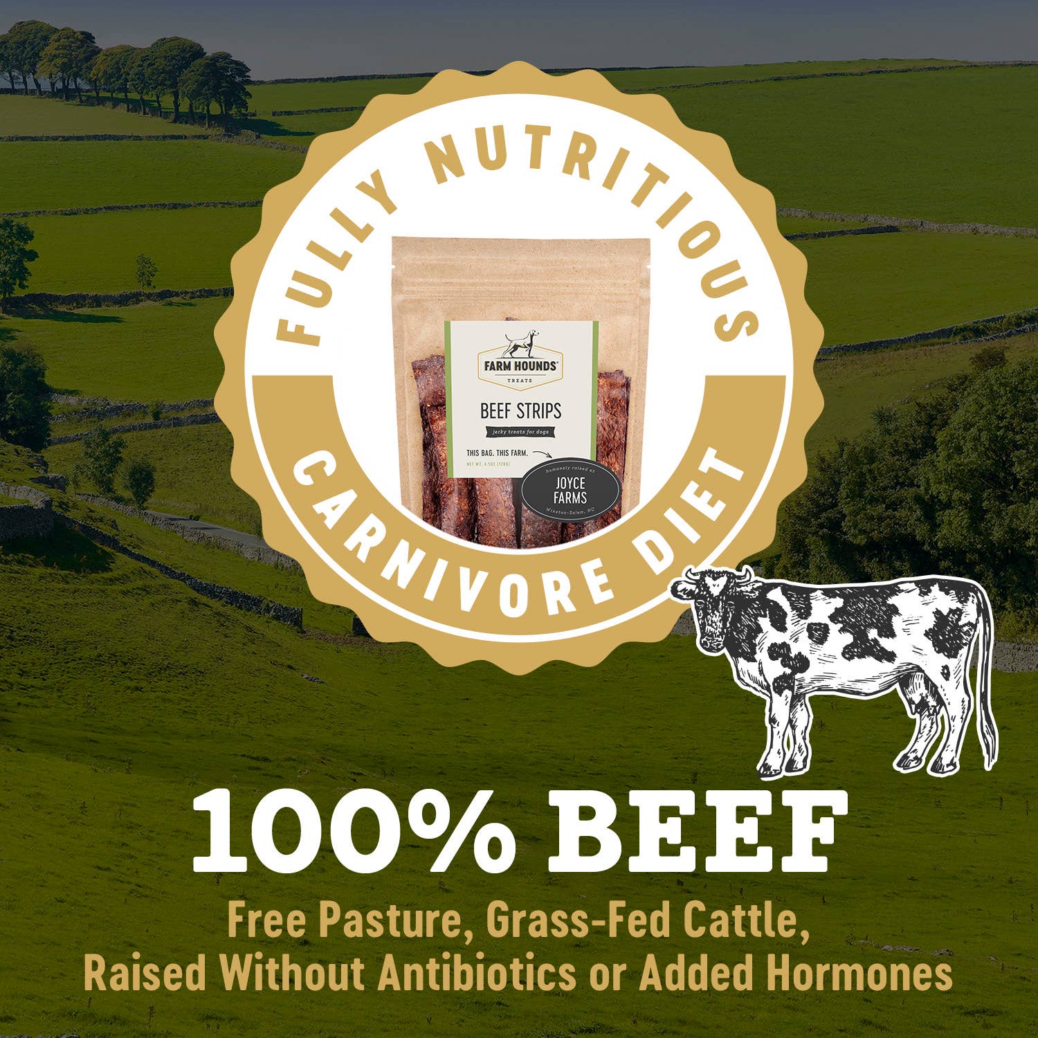 All-Natural Beef Strips Dog Treats | 4.5 oz