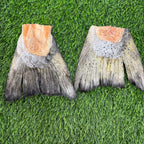 Freeze-Dried Salmon Tails Treat/Chew for Dogs - Bulk: 1 Salmon Tail - Unwrapped