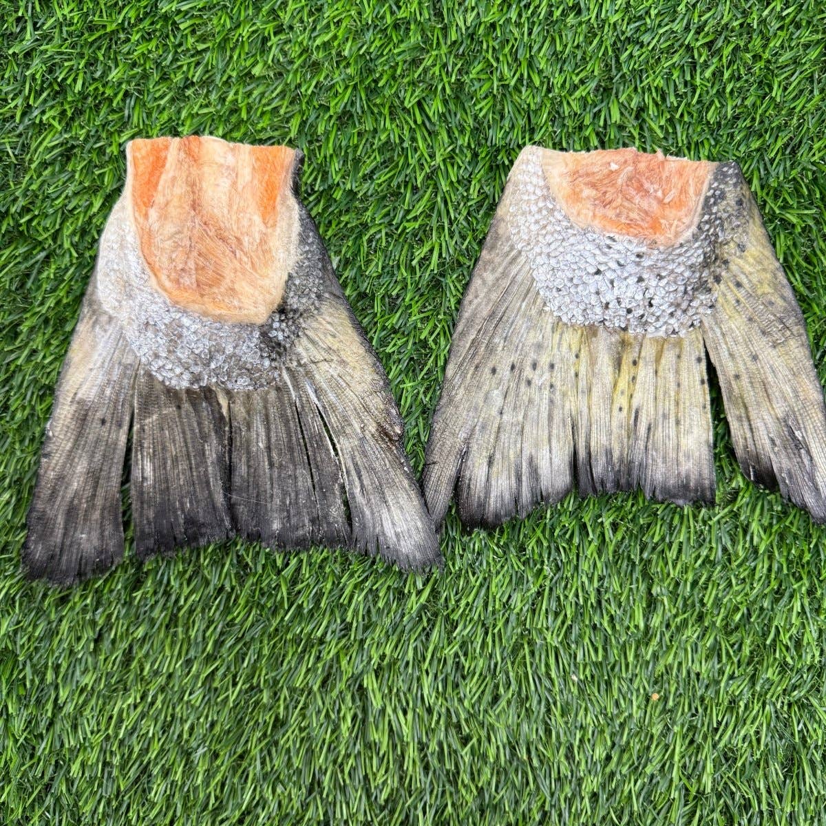 Freeze-Dried Salmon Tails Treat/Chew for Dogs - Bulk: 1 Salmon Tail - Unwrapped