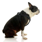 #04234 - Comfort X Step In Lite Harness: Pink / Small Chest (14-17")