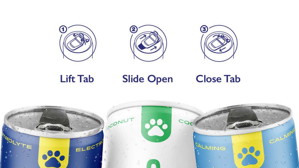 ELECTROLYTE: 6 Pack
