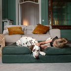 Faux Leather Orthopedic Pet Bed, Cooling Gel Foam, Sofa: Dark Green / S [20*15*8]