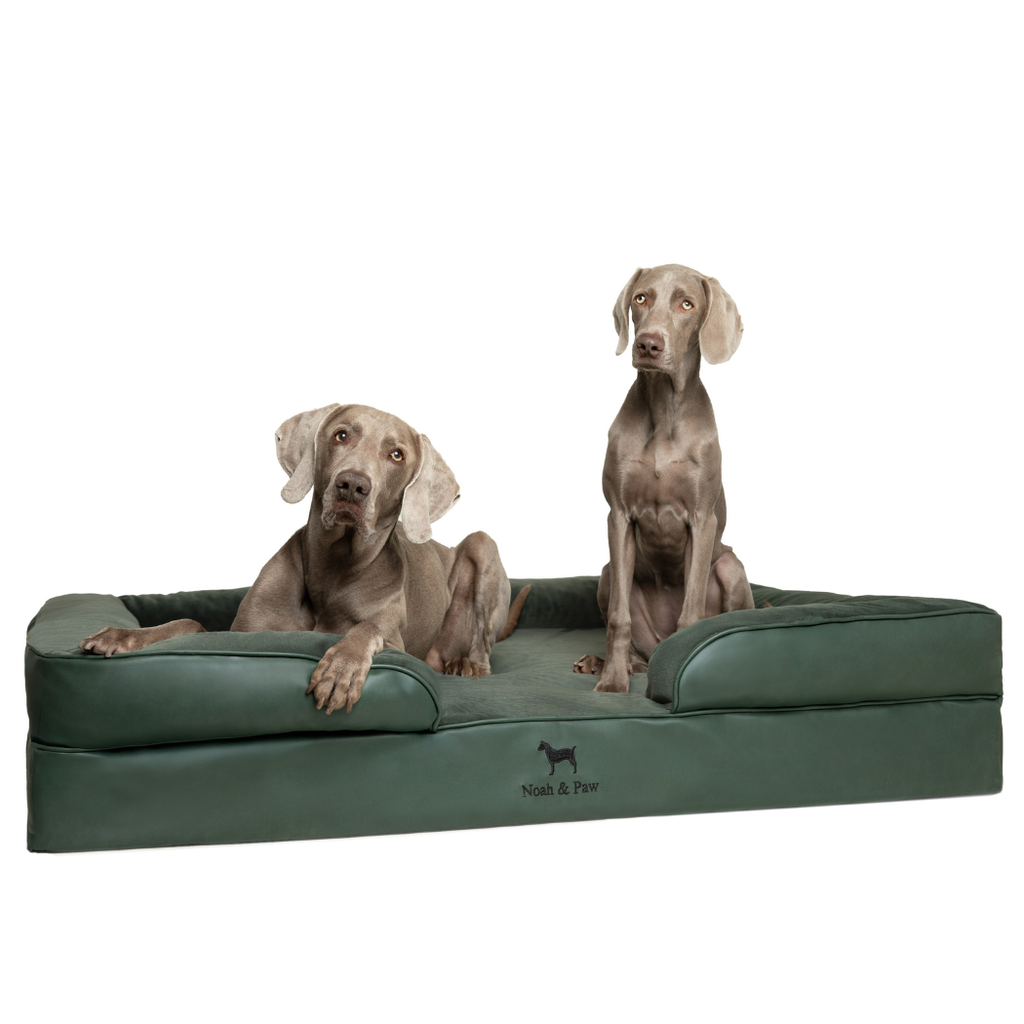 Noah & Paw Orthopedic Sofa Bed | Dark Green | Medium