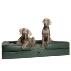 Noah & Paw Orthopedic Sofa Bed | Dark Green | Medium