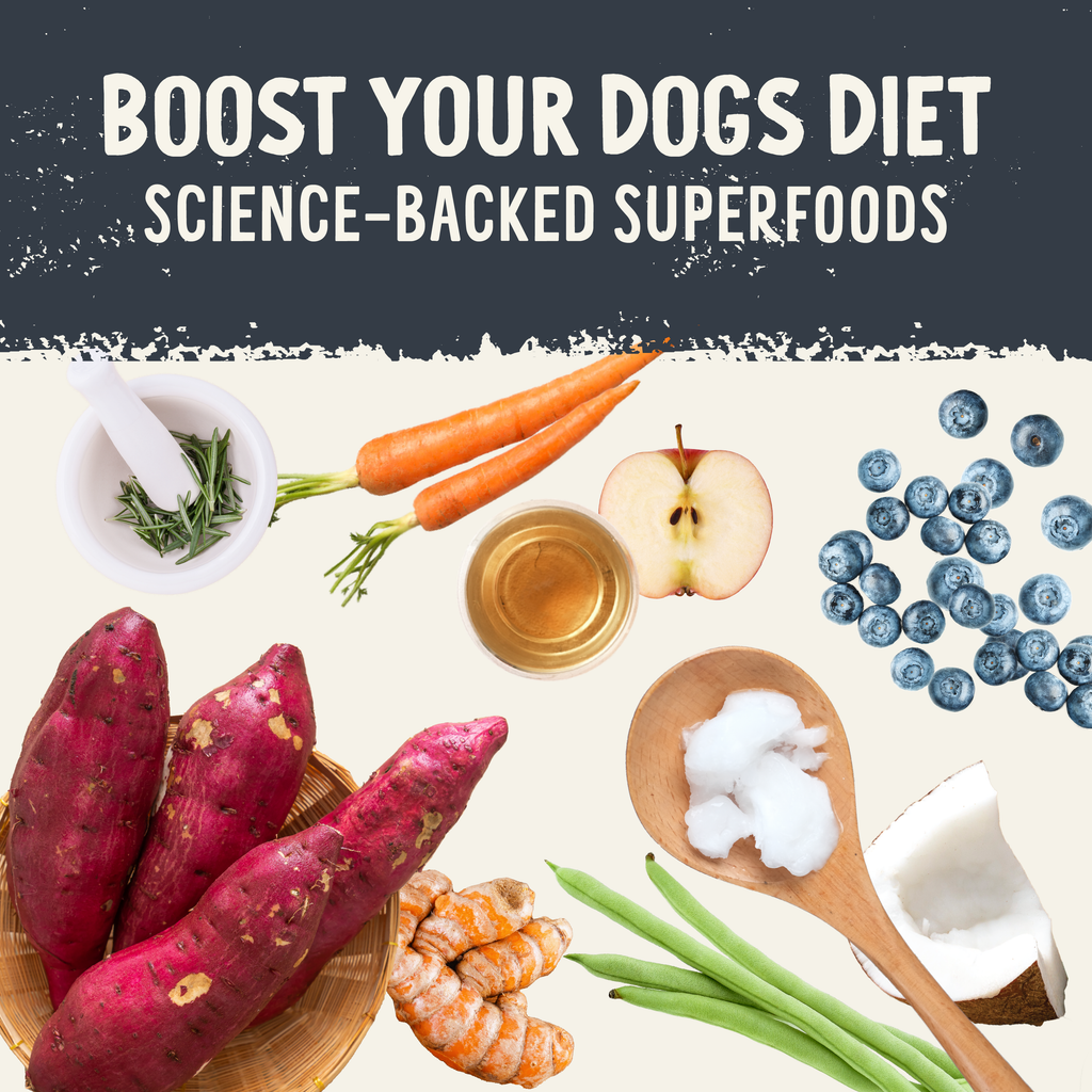 Freeze Dried Raw Salmon Recipe: 3.5oz
