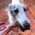 Duck Head | All-Natural Dog Chew
