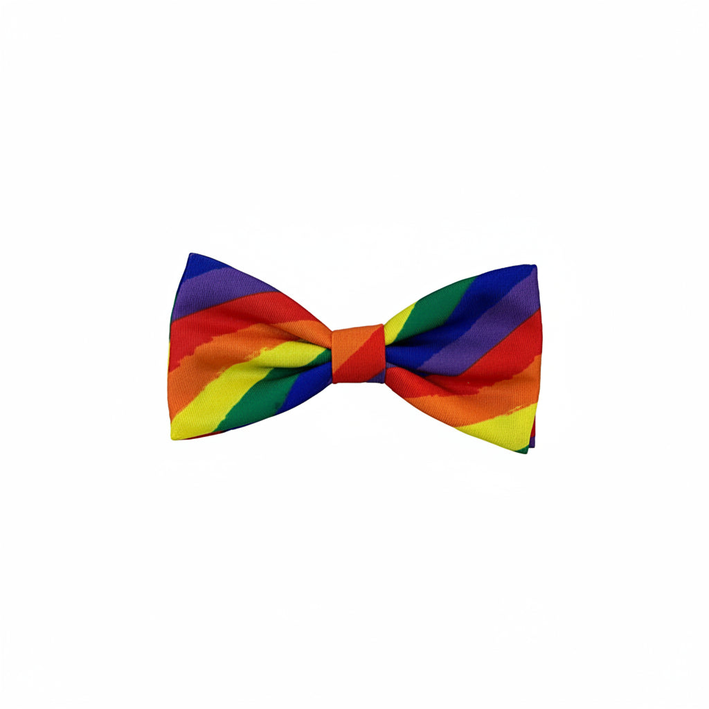 Equality Bow Tie | Small